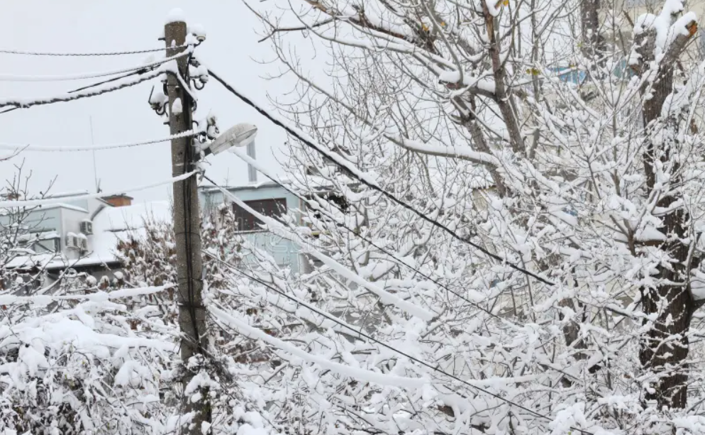 Мороз до -19, але без опадів: прогноз на 1 лютого