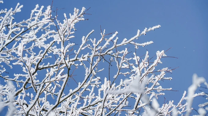 Стовпчики термометрів опустилися до -30 градусів: у якому регіоні цієї ночі були арктичні морози