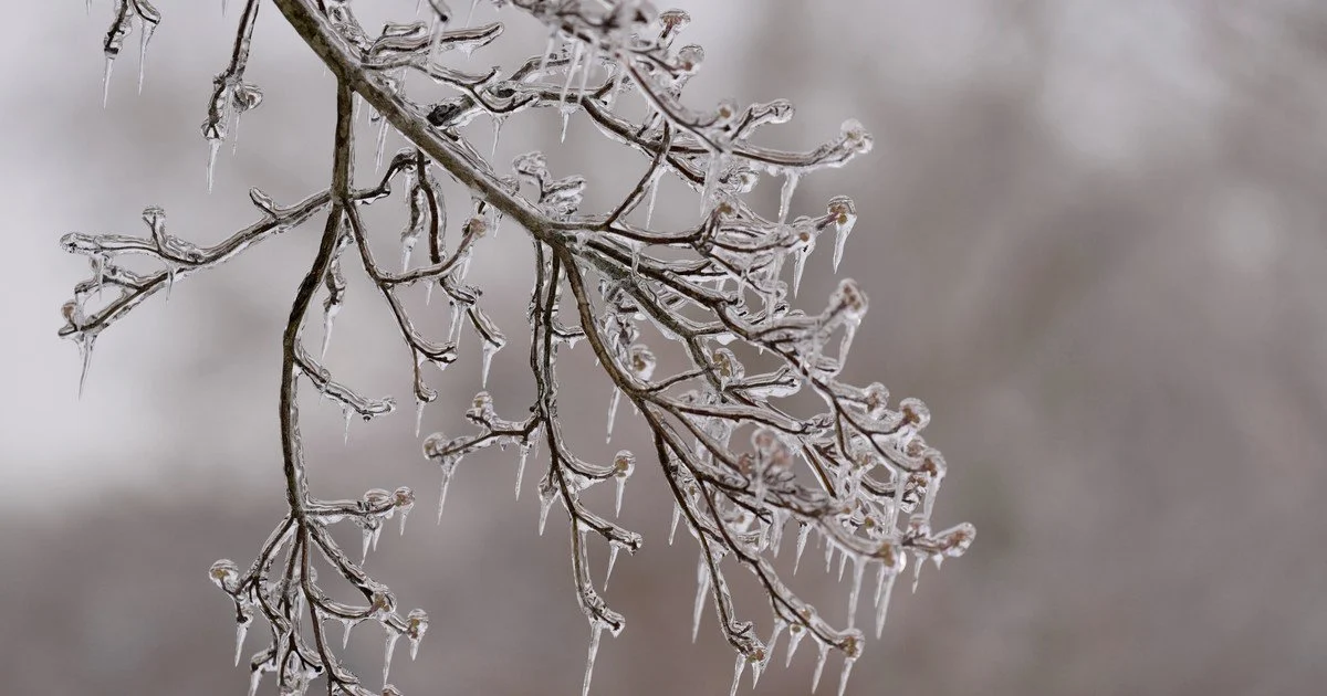 В Україну прийшло потепління: сильні морози поки що відступили