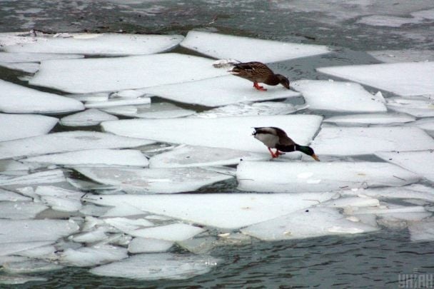 Прогноз погоды на выходные: снег и дожди накроют почти всю Украину