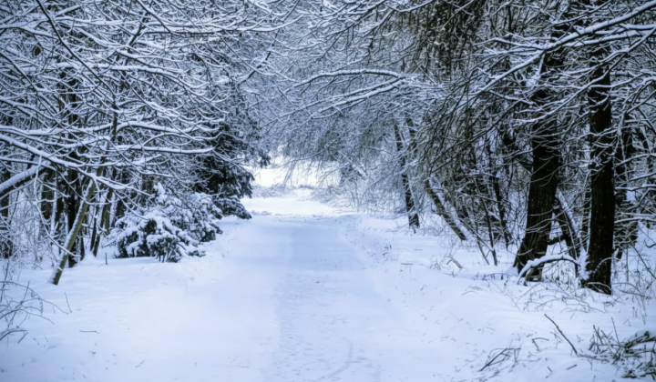 Украину ждет существенное потепление в ближайшие дни, - синоптик