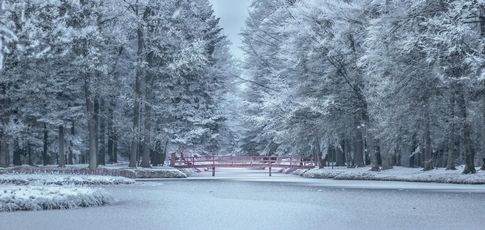 Погода в Украине сегодня: что прогнозируют синоптики