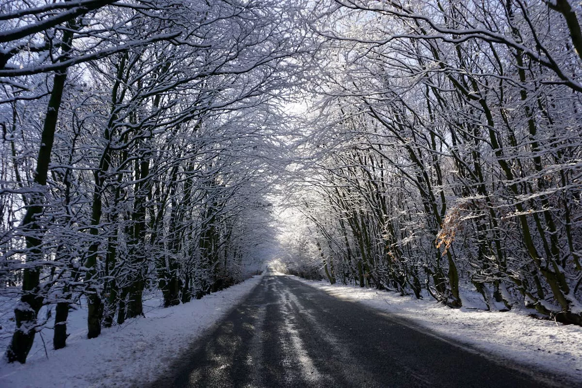 Погода зіпсується: прогноз синоптиків на сьогодні