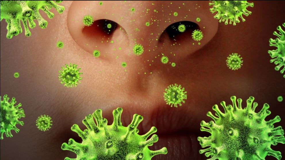 Майже всю Європу може охопити небезпечний вірус: які країни під загрозою