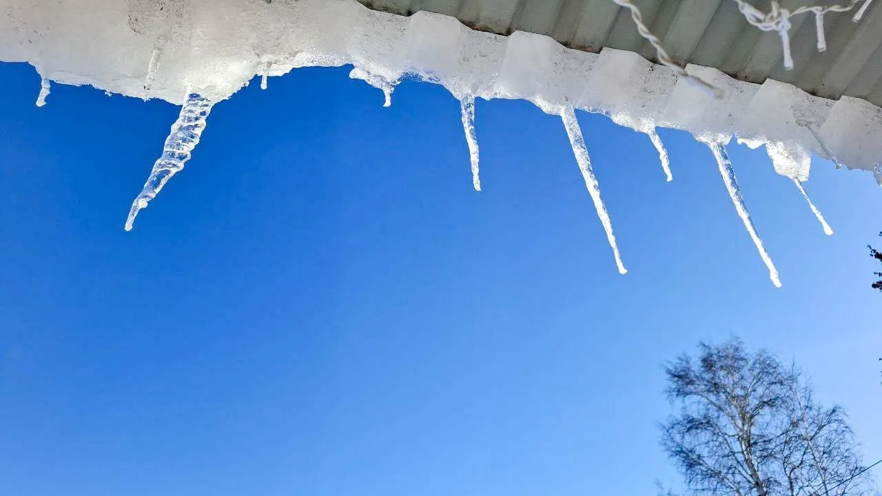 Температурні коливання та посилення вітру: прогноз погоди на тиждень