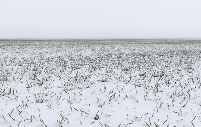 В Україну йде похолодання: температура значно знизиться