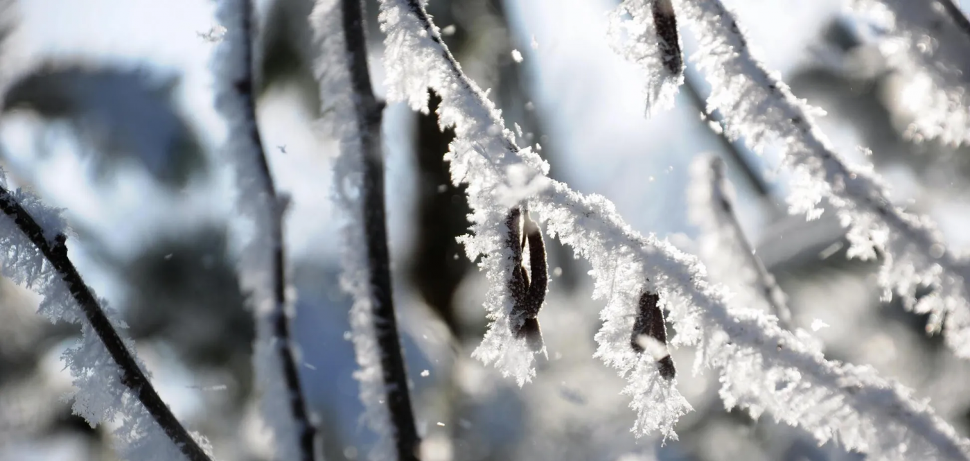 Нове похолодання незабаром накриє Україну, - синоптик