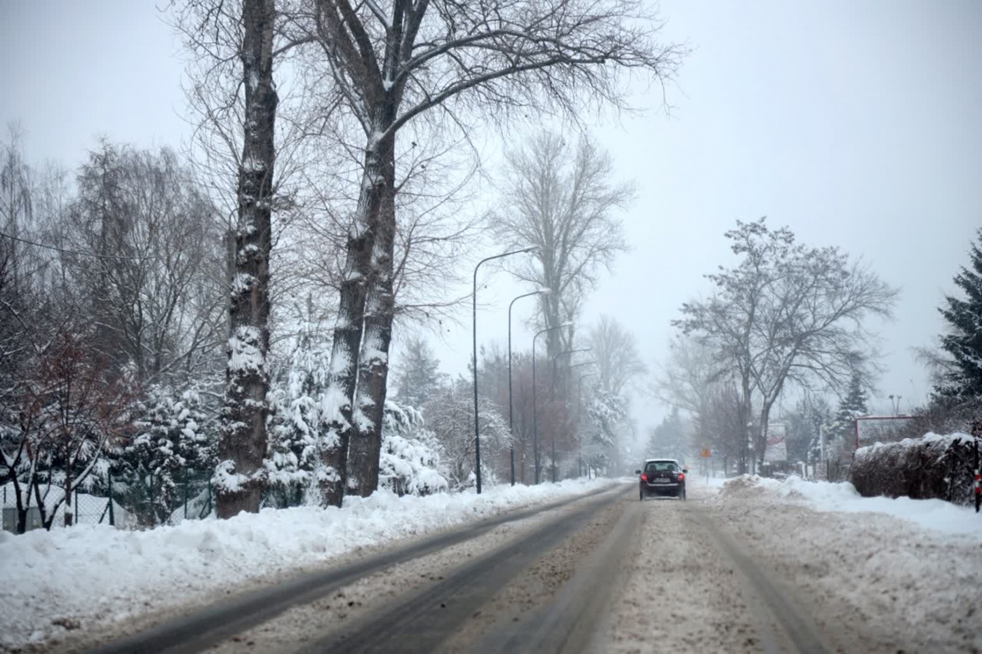 Погода в Украине 12 февраля: что прогнозируют синоптики на завтра