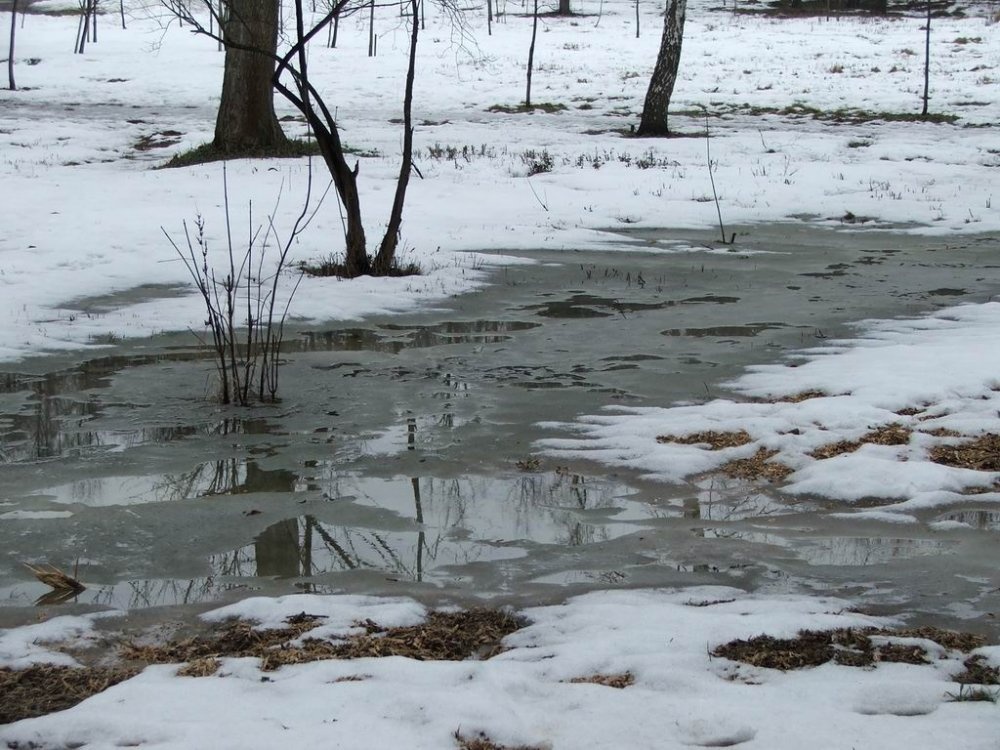 В Україну йде потепління, місцями повітря прогріється до +13 градусів