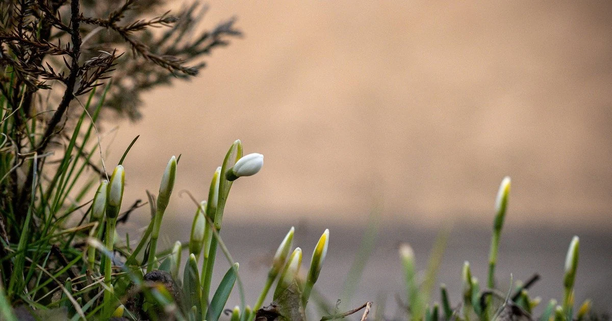 Погода у березні: синоптик розповів, чи буде повернення зими