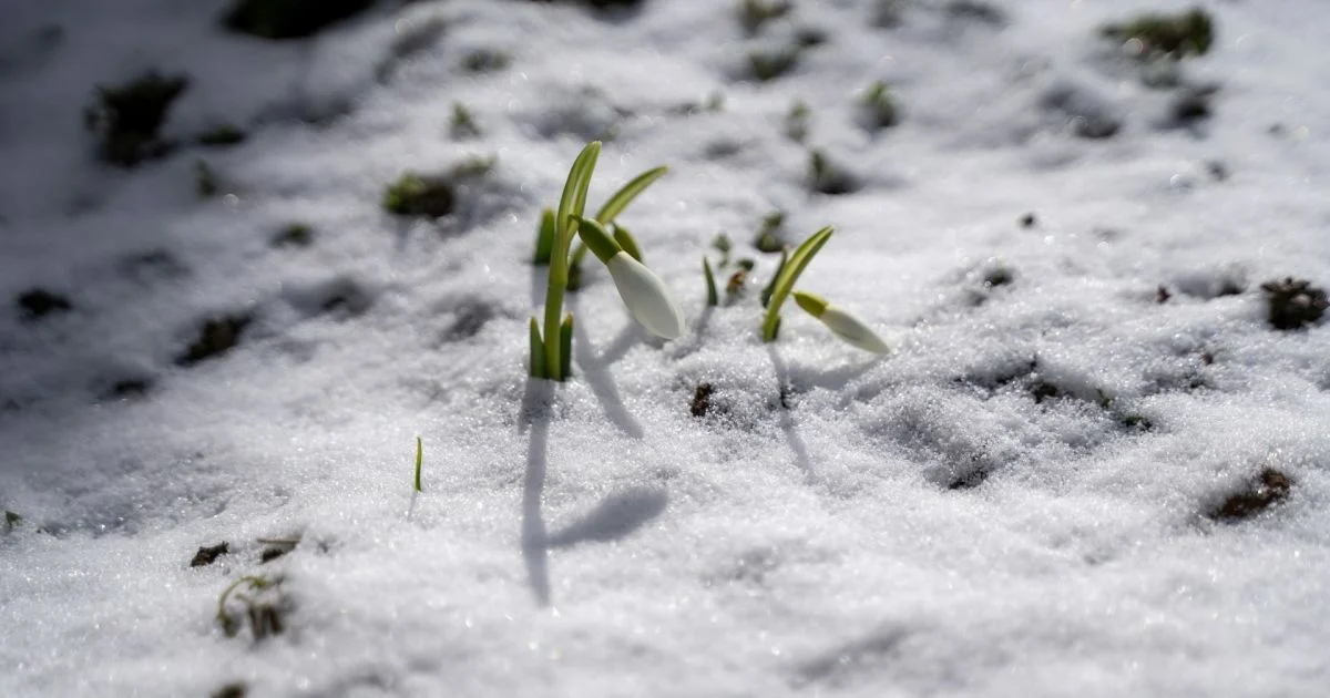 Температура повітря зменшиться: синоптик назвала дату похолодання