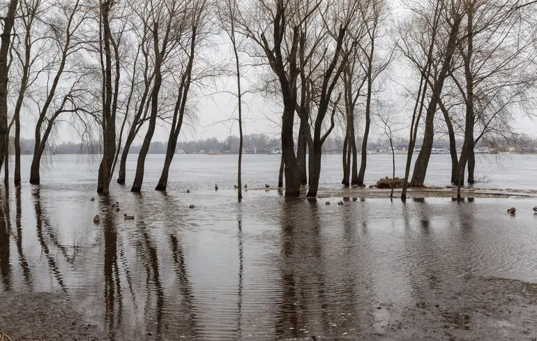 В Україні річки виходять із берегів: які області під загрозою