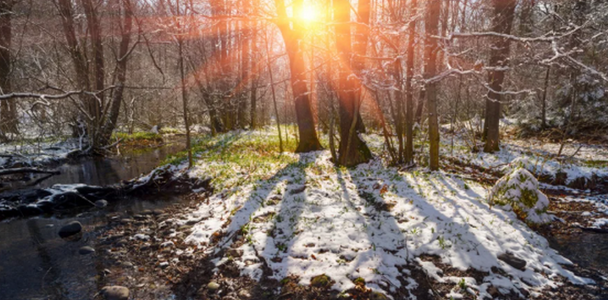 Прогреет до +15, осадки не ожидаются: прогноз на 8 марта
