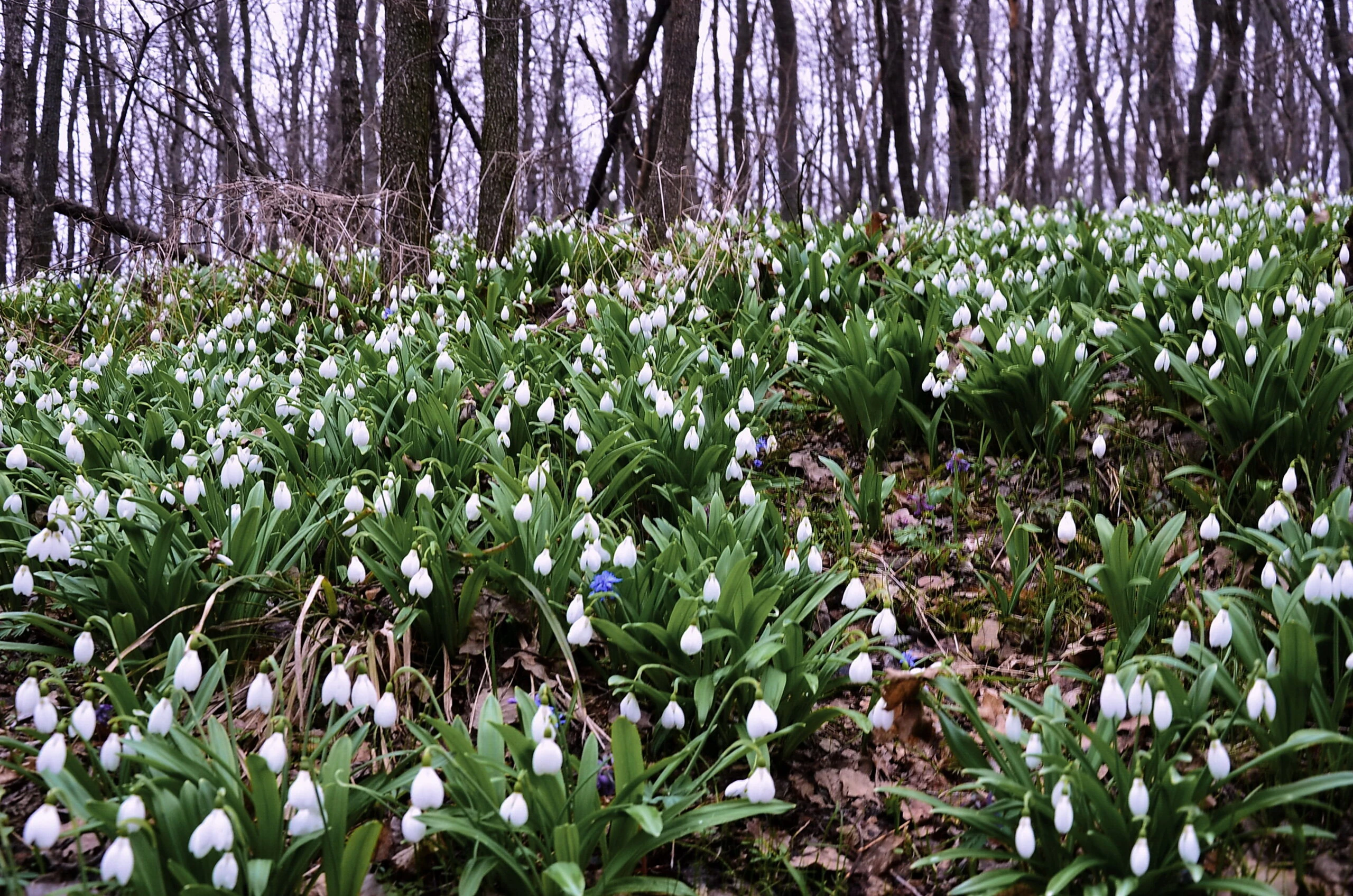 Сонце вже прогріватиме повітря: на українців чекає приємна погода на тижні, - синоптик