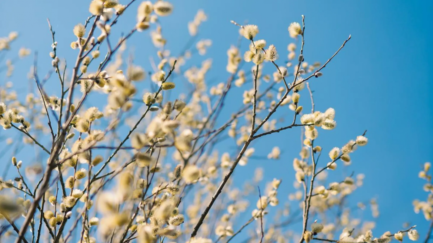 Прогноз погоды на всю весну: когда ждать настоящего потепления