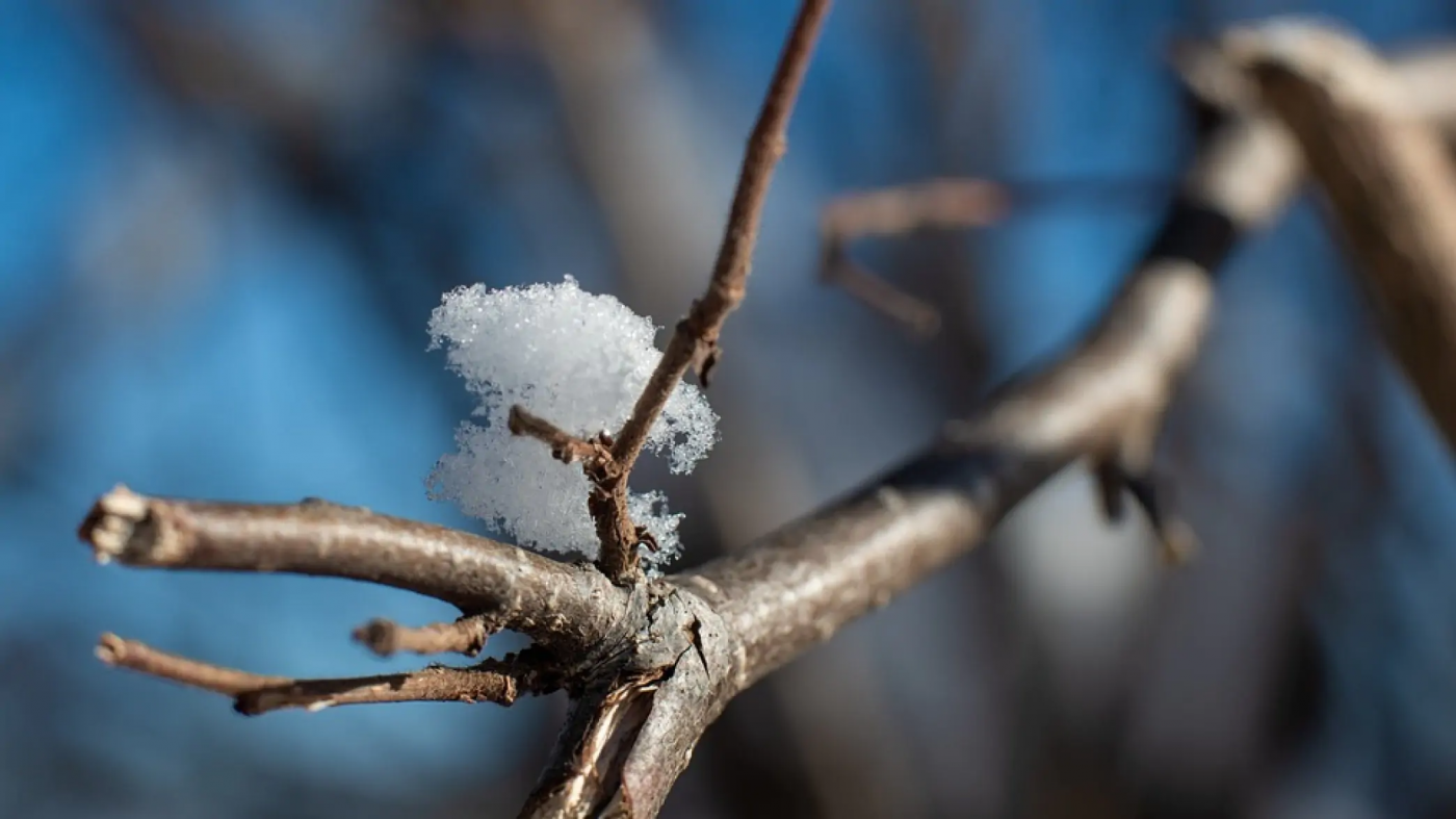 Синоптик не радить переходити на легкий одяг: якою буде погода найближчими днями