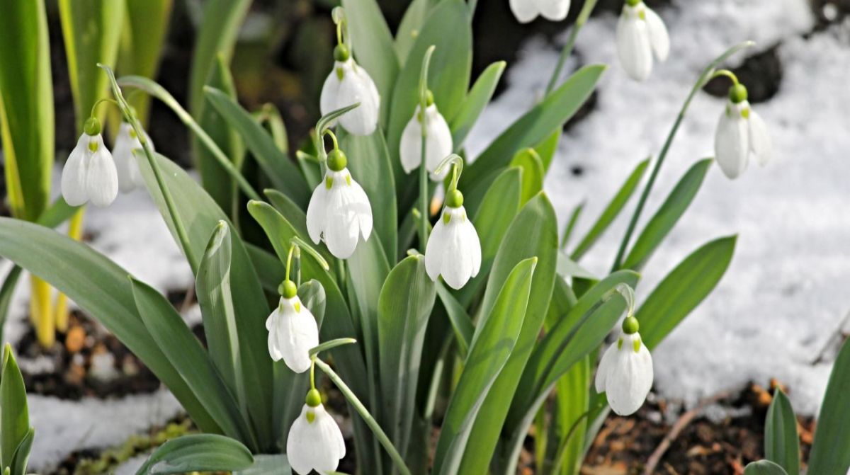 Синоптики дали прогноз на сьогодні: якою буде погода