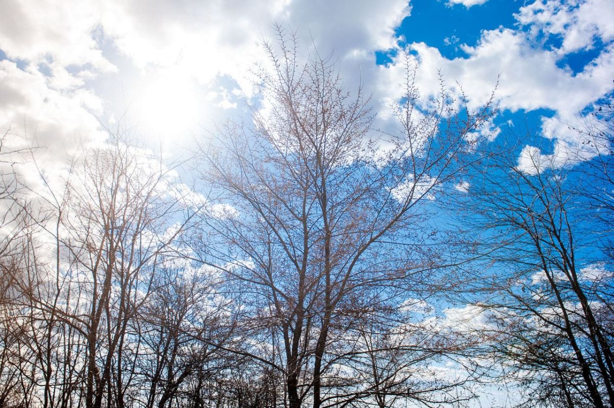 В Украину пришло настоящее потепление: прогноз погоды на неделю