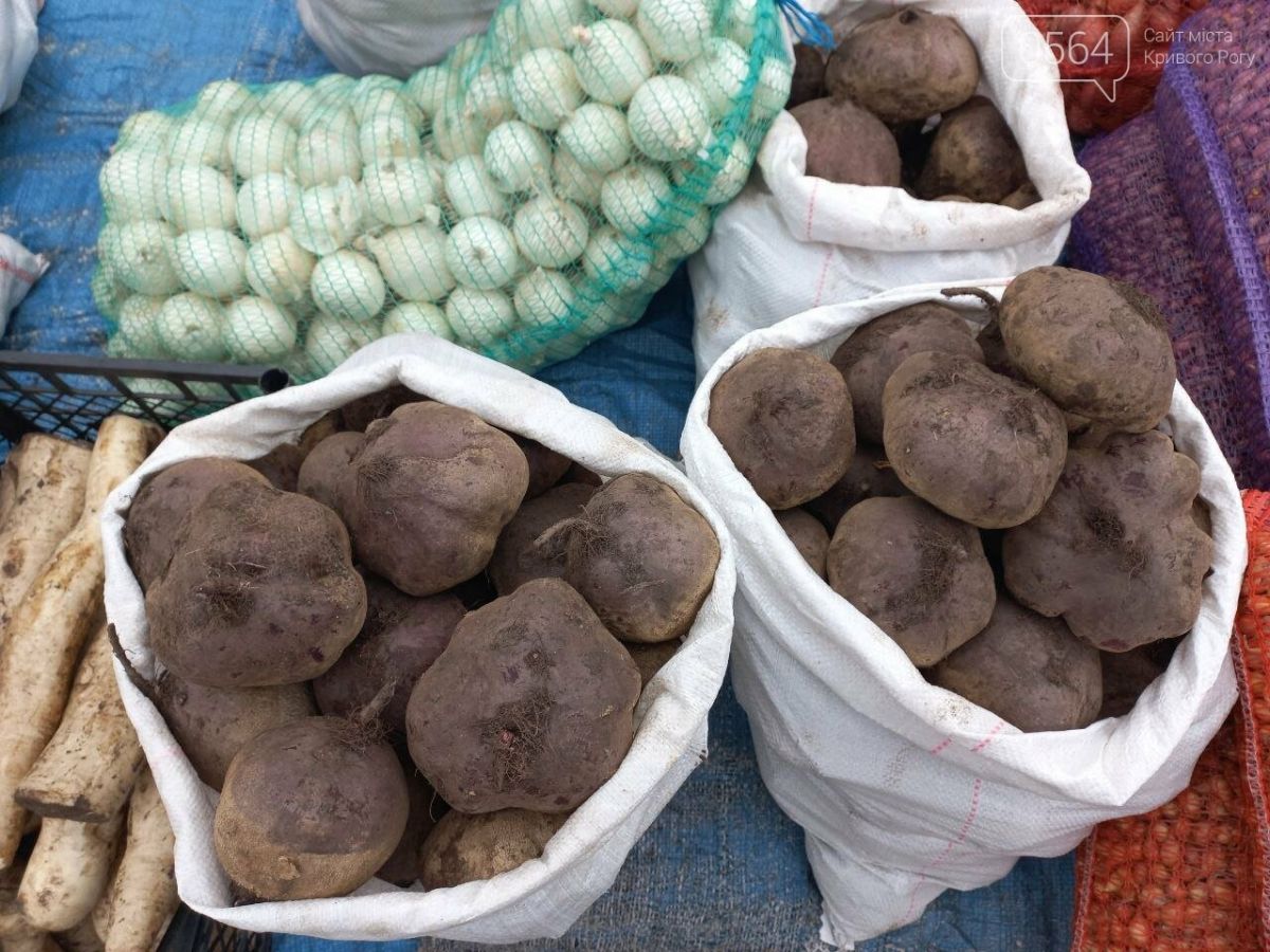 В Україні несподівано подешевшали овочі: які ціни зараз