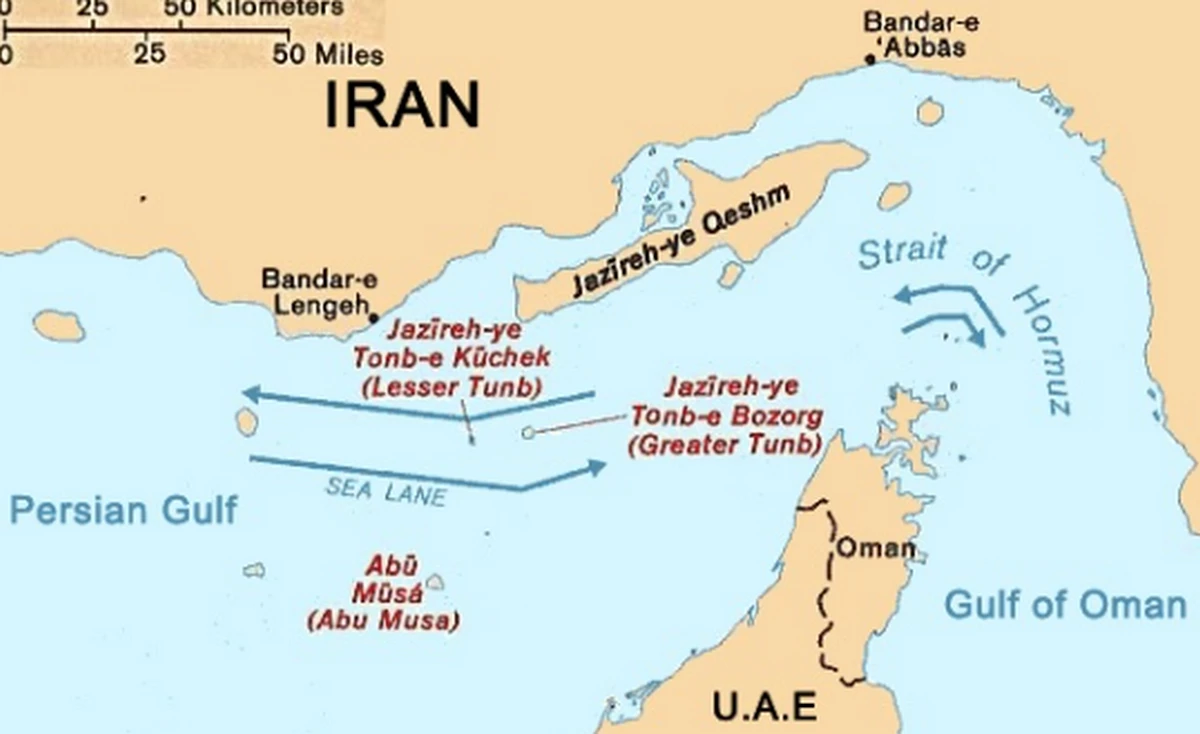 Иран разрешил проходить через Ормузский пролив судам с "товарами первой необходимости"  — СМИ