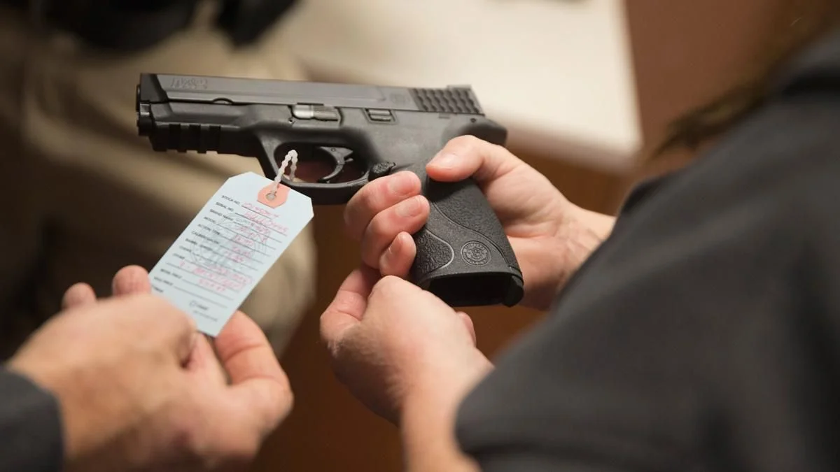 МВД готово к появлению закона о гражданском оружии, - Клименко