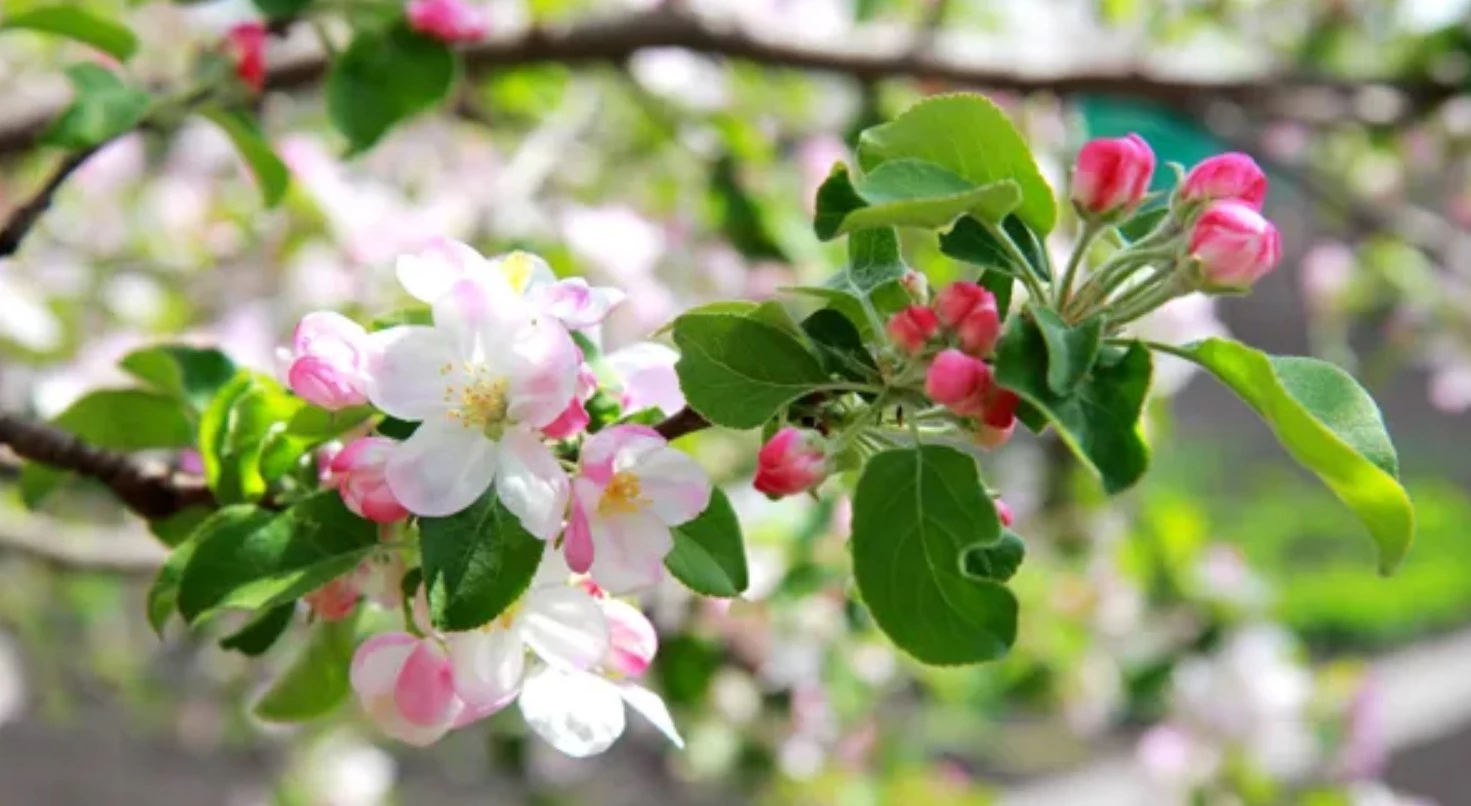 Диденко назвала дату, когда в Украине наконец потеплеет