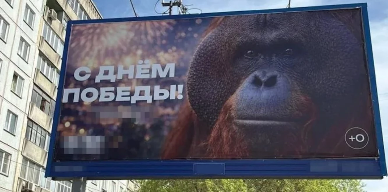 В Новосибирске разместили на баннере к 9 мая фото орангутанга из зоопарка