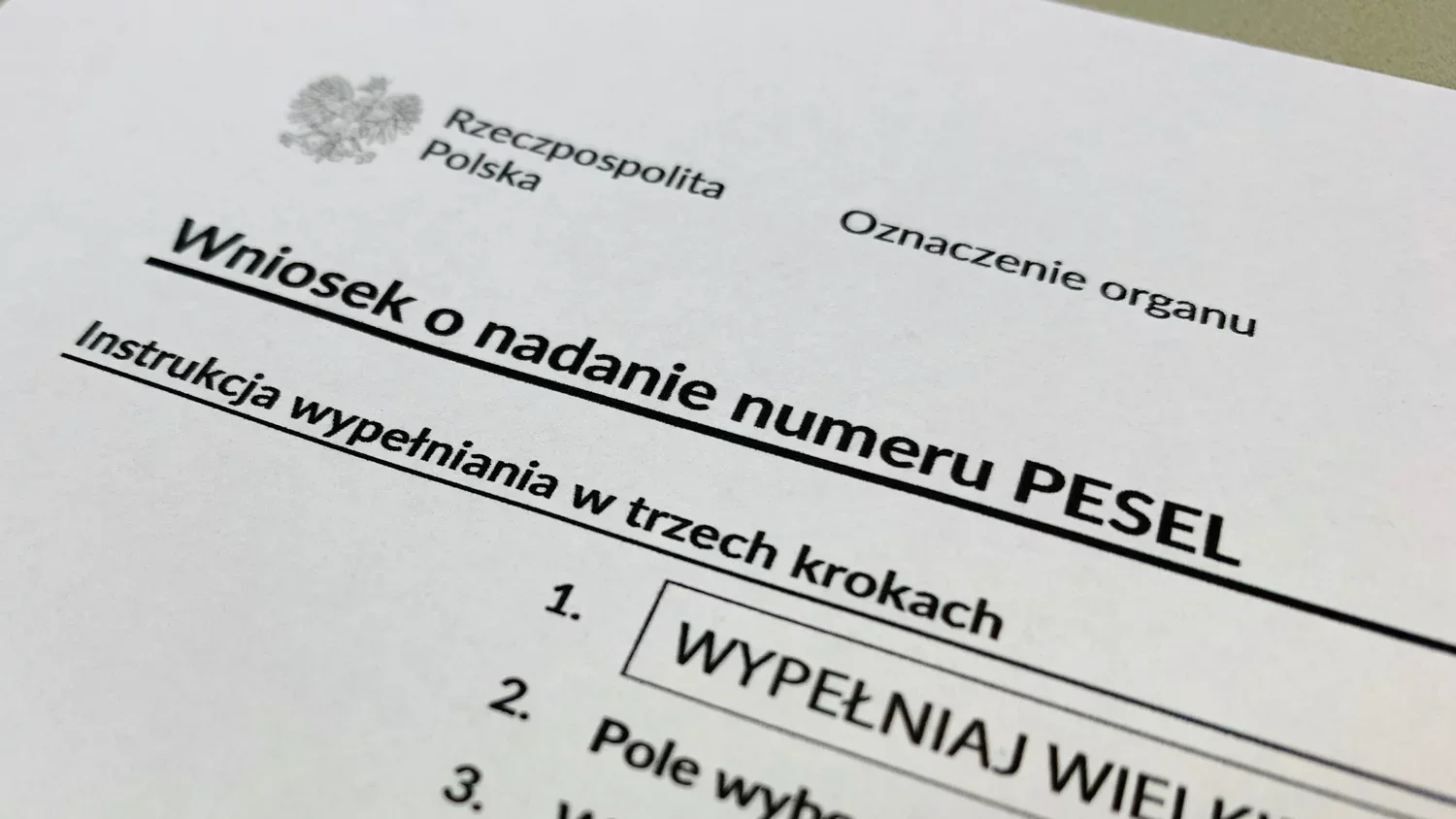 Некоторые украинцы в Польше вскоре могут потерять статус PESEL UKR