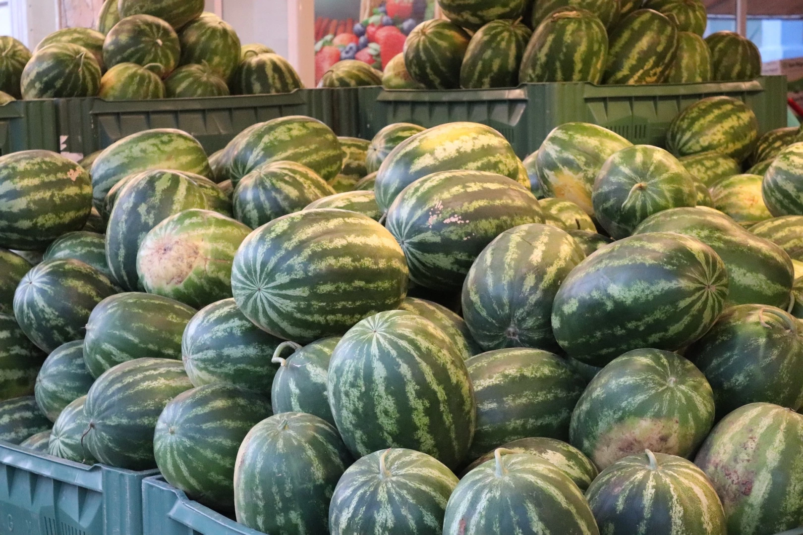 Начали возить на зерновозах, с начала месяца арбузы уже потеряли 25% своей стоимости