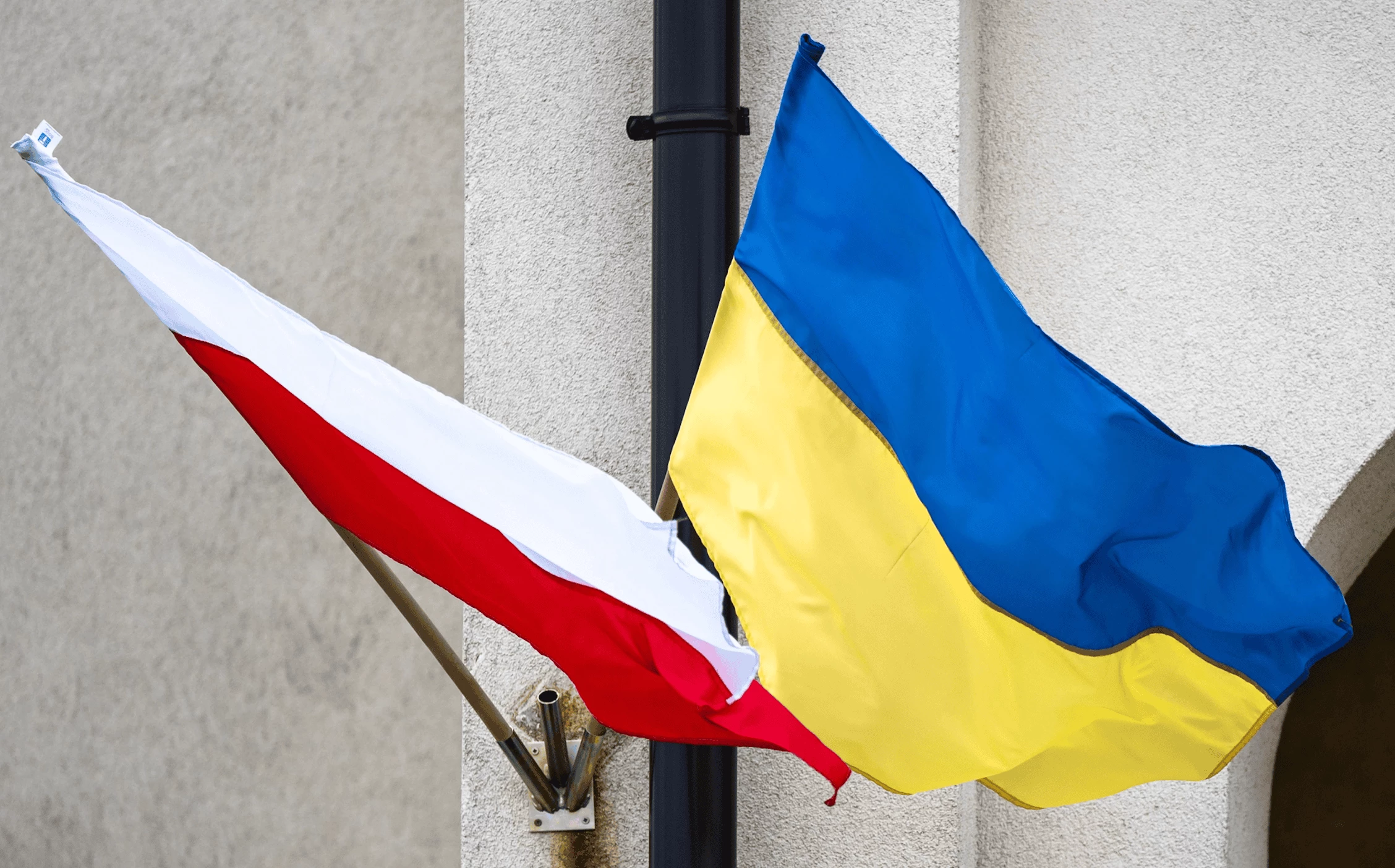 Отношение к украинцам в Польше меняется, доля радикального контента в соцсетях уменьшилась