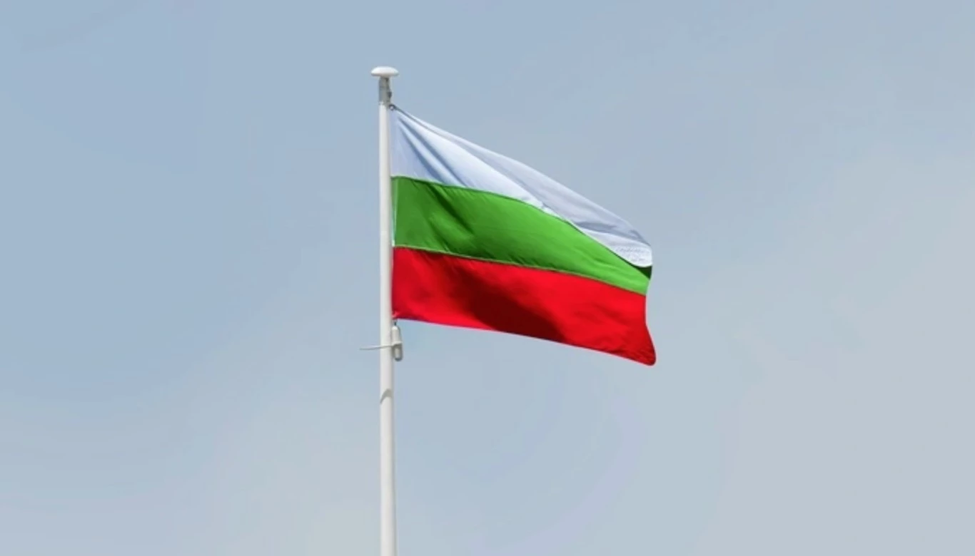 Минобороны Болгарии: Взорвавшийся у газопровода БПЛА мог быть украинским дроном-приманкой «Майя»