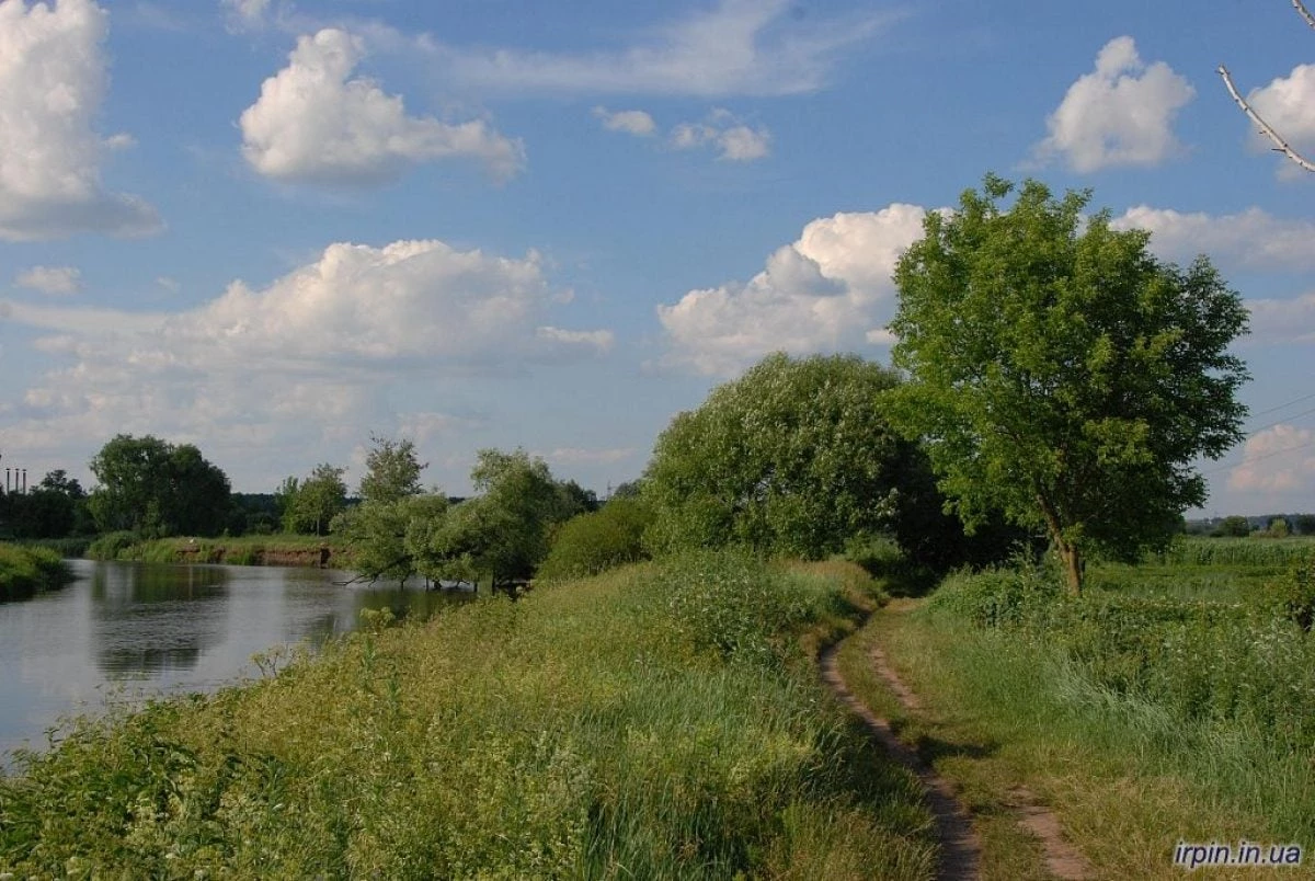 Забруднення водойм на Київщині: місцева влада звернулася до громади
