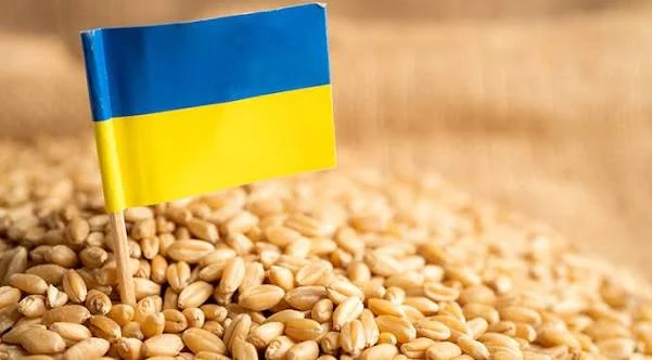 Зеленский предупредил о риске глобального агрокризиса из-за блокады морей