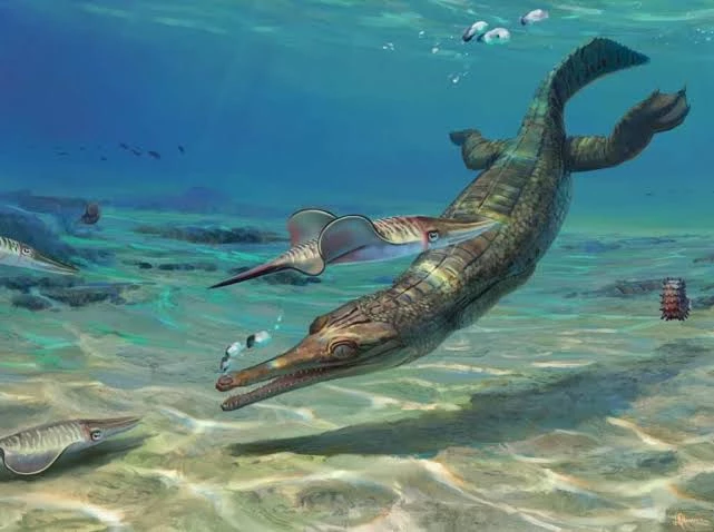 Зубы как зубочистки: ученые открыли новый вид древнего крокодила Ctenosuchus