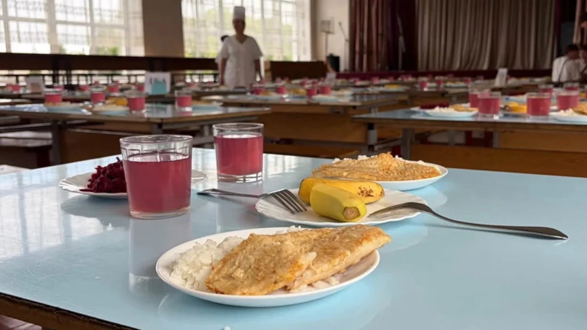 Проблемы с бесплатным питанием в школах: что выявили проверки Минобразования