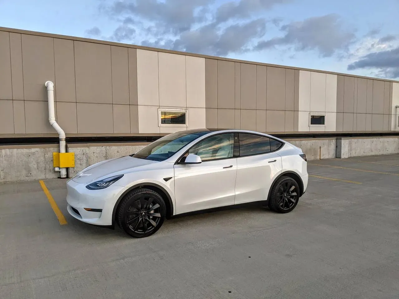Tesla Model Y — лидер, а Toyota RAV4 теряет позиции: названы самые продаваемые авто мира за 9 месяцев
